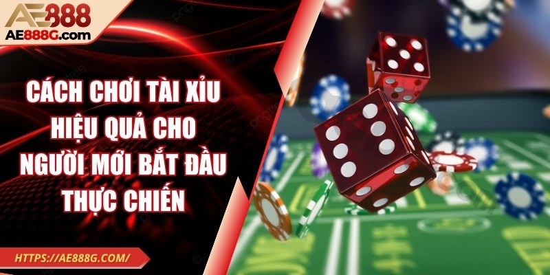 Cách chơi tài xỉu hiệu quả cho người mới bắt đầu thực chiến