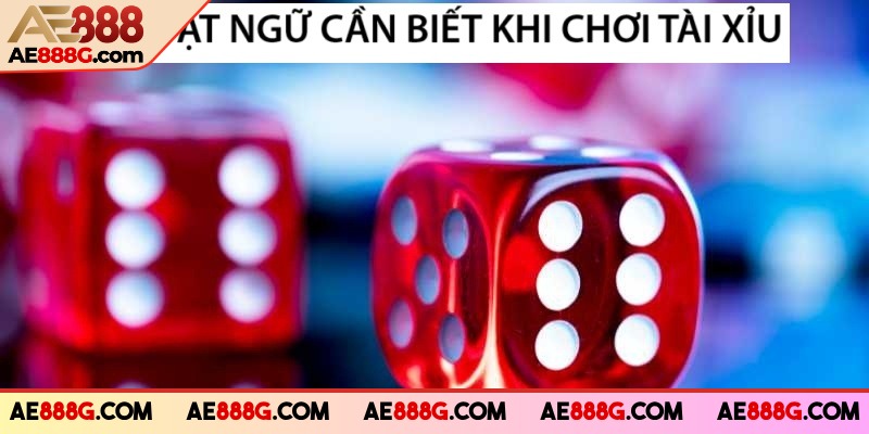 Cược bộ ba là một thuật ngữ cần biết khi tham gia cá cược sicbo