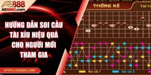 Hướng dẫn soi cầu tài xỉu hiệu quả cho người mới tham gia